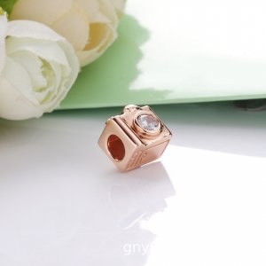 Přívěsek PANDORA Rose Fotoaparát 787986CZ